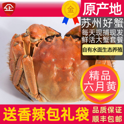 活蟹8只苏州大闸蟹遇见阳澄鲜活大螃蟹公蟹5两全母蟹4两大蟹礼盒