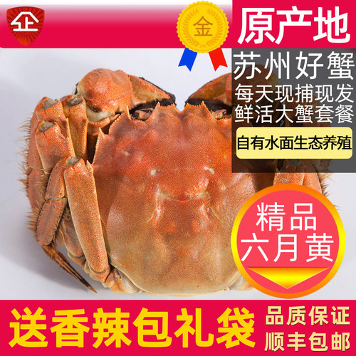 苏州大闸蟹鲜活大螃蟹生鲜礼盒装