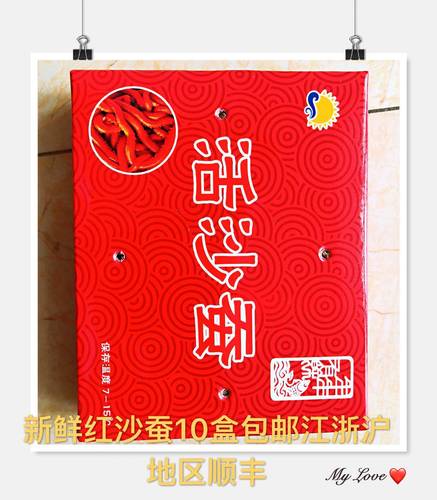 海蚯蚓海蚂蝗红青虫海钓海蜈蚣