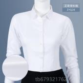 高档HN纯棉免烫职业女士衬衫 工作服色衬 蓝白竖条纹装 长工袖 蓝正装