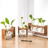 创意木架水培花瓶绿萝植物玻璃花器客厅小容器办公室桌面装 饰摆件