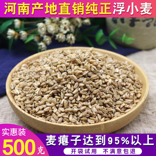 中药材浮小麦 正品止汗盗汗茶小麦瘪子散装另有甘草大枣500克包邮