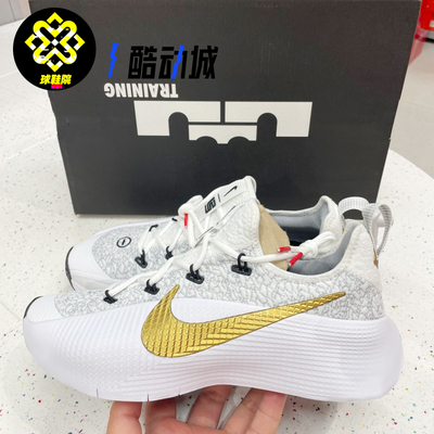 Nike耐克LEBRON TR1詹姆斯男低帮训练篮球鞋运动休闲鞋FJ6151-006