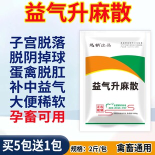补中益气散兽用禽药鸡鸭蛋禽脱肛母猪牛掉球子宫脱落脱阴子宫下垂