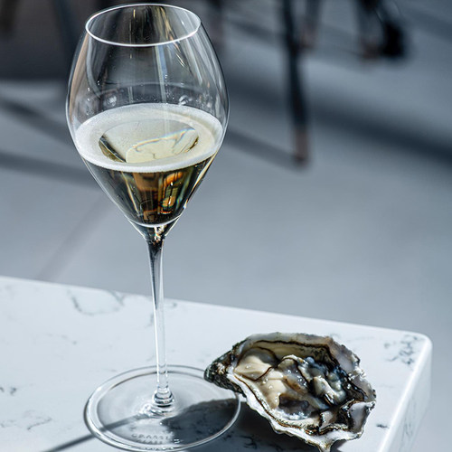 Grassl水晶香槟杯310ml