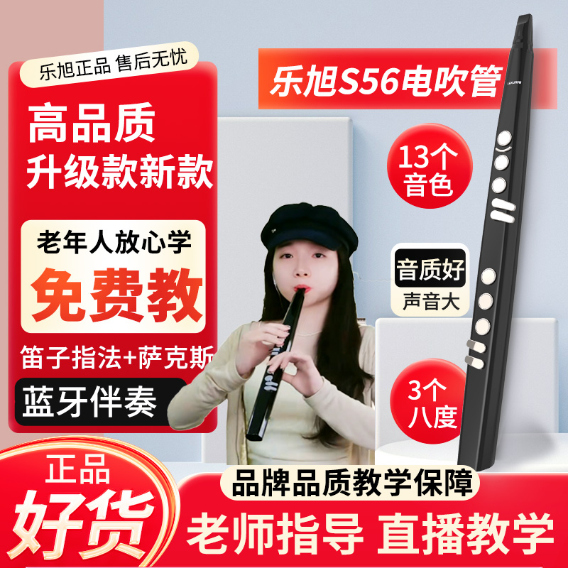 乐旭S56电吹管小型吹奏乐器