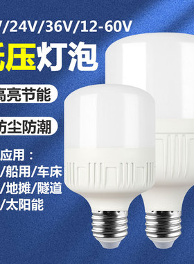 12V24V36V伏led低压DC直流灯泡E27螺口矿井电瓶工地车间工作灯