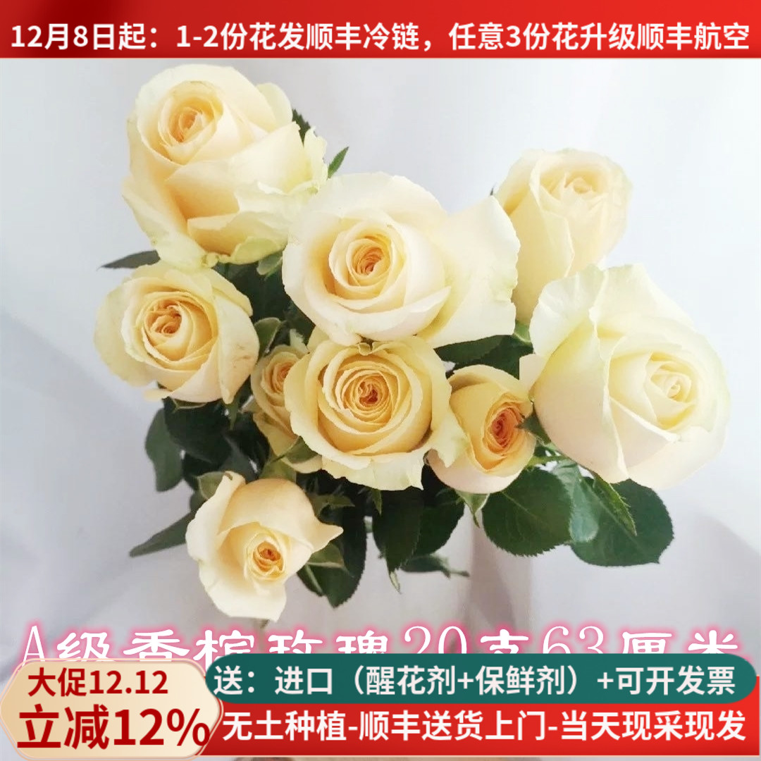 A级香槟玫瑰鲜花情人节20支花束