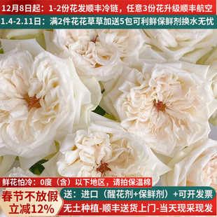 A级白荔枝玫瑰花云南鲜花基地直发家用水养插花束教师节中秋顺丰