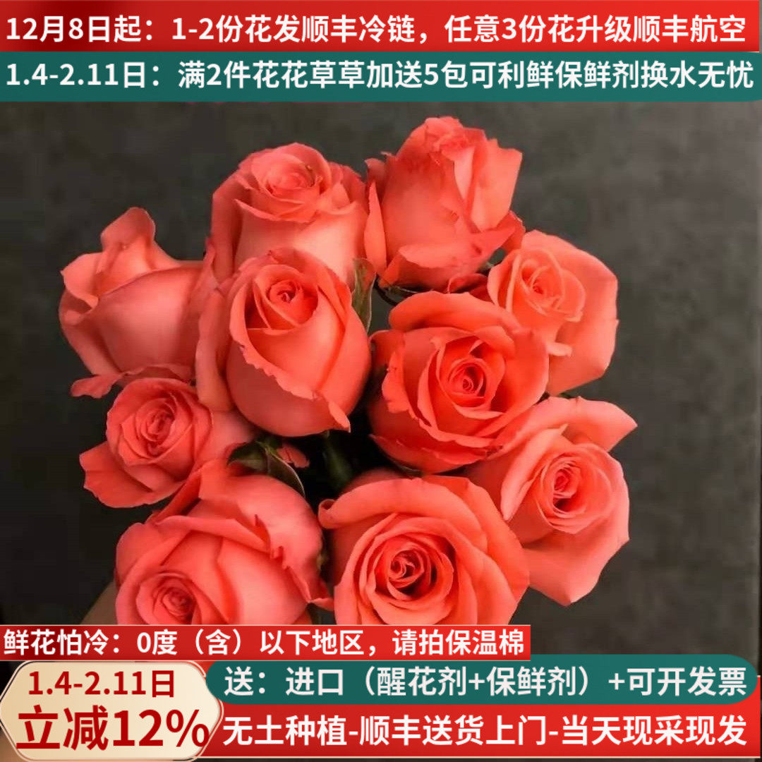 大花影星粉玫瑰花鲜切花云南昆明斗南鲜花基地直发直批家用室内水,鲜花速递/花卉仿真/绿植园艺,花材,淘宝优惠券,粉丝福利购,淘宝优惠卷