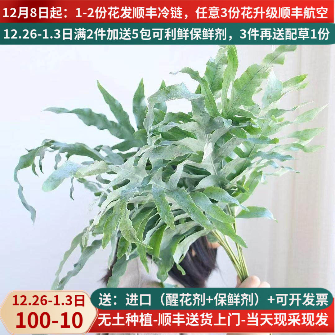 网红叶鱼骨形状配叶花束