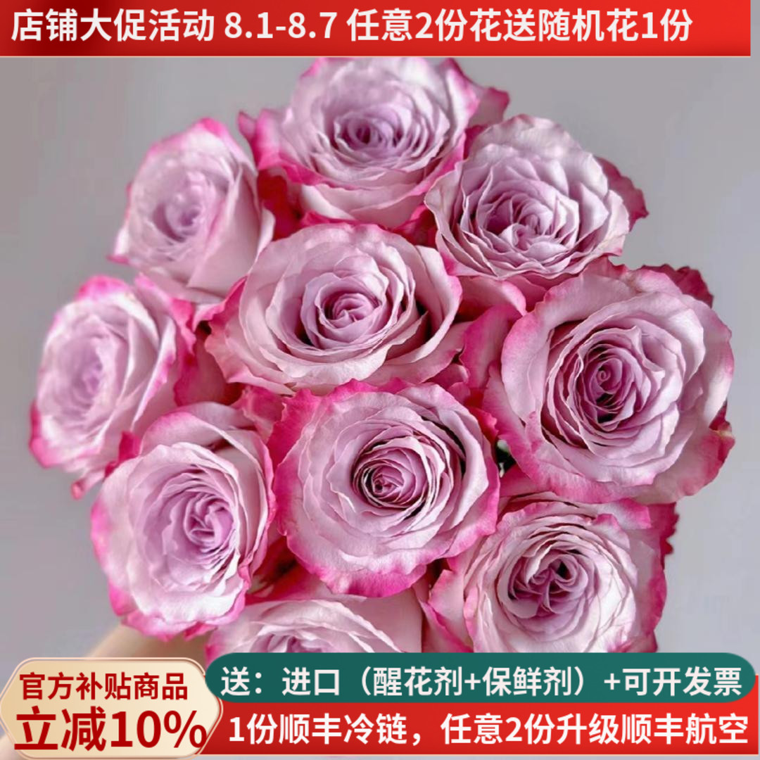 稀有A级玫瑰花洛神雪山高原红云南鲜花基地直发斗南市场插花真花