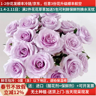 A级海洋之歌玫瑰直批花束基地直供直发家用斗南花市云南鲜花紫色