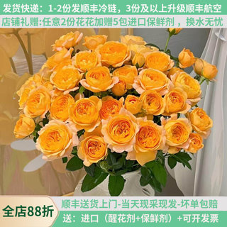 多头玫瑰橙色芭比巧克力鲜花云南直批家用花束基地直供泡泡蔷薇