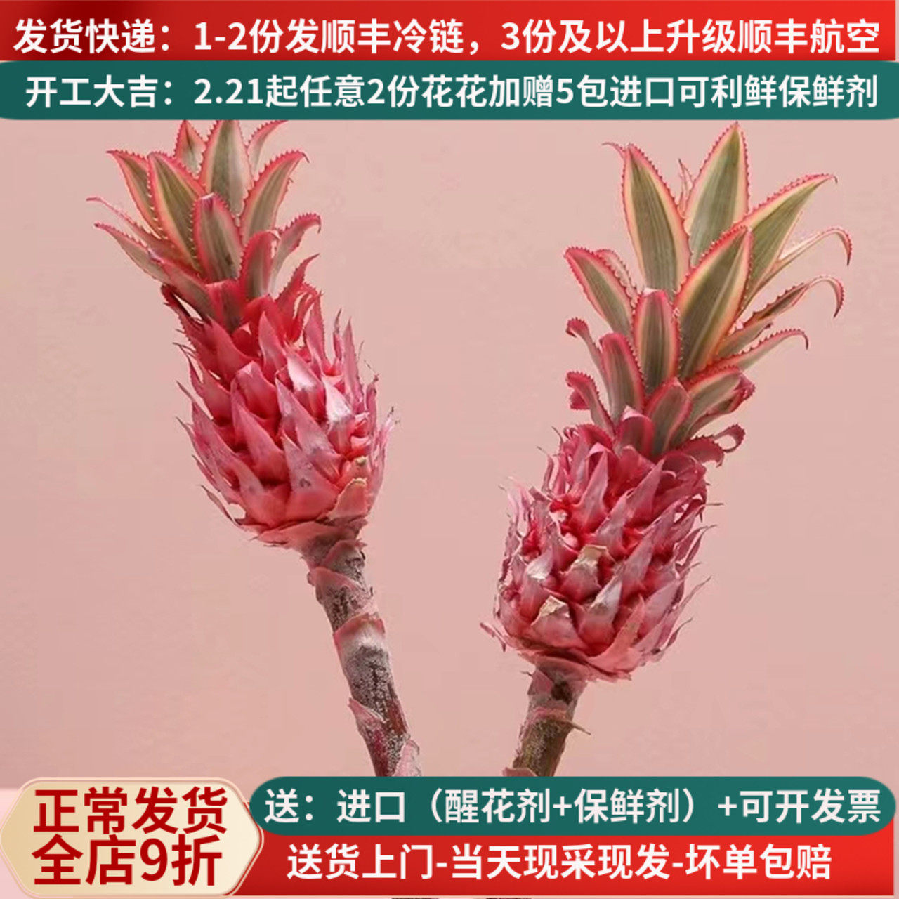 喜欢你进口粉色凤梨顺丰直发