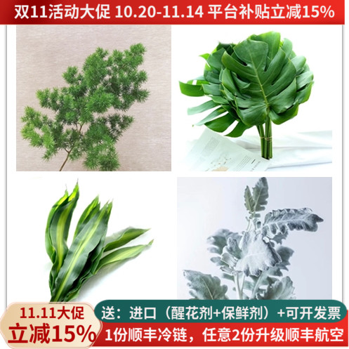 配叶天门冬春兰富贵鸟玉簪艾草