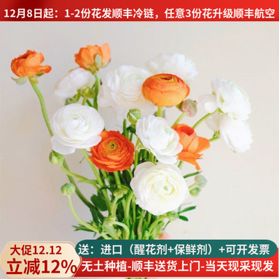 时令鲜花蝴蝶洋牡丹基地直发顺丰