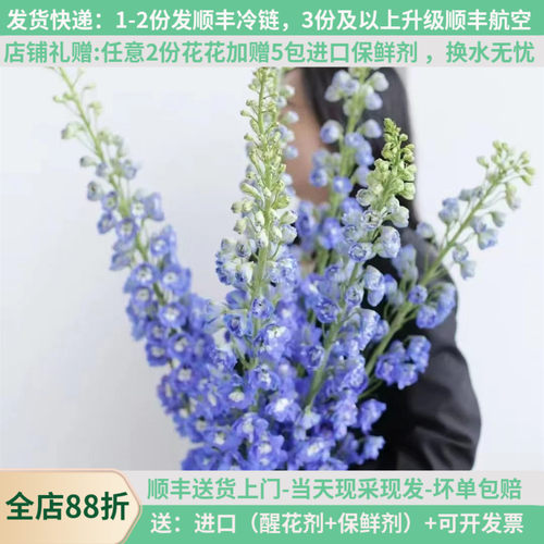 大飞燕家庭插花母亲节基地直发
