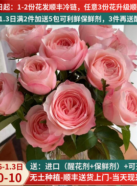 凯瑟琳粉色玫瑰花束云南昆明斗南鲜花基地直发顺丰生日礼物送人花