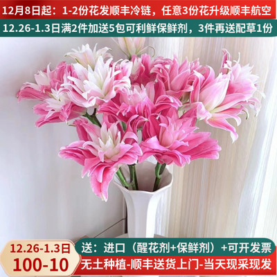 重瓣香水百合多品种现采现发