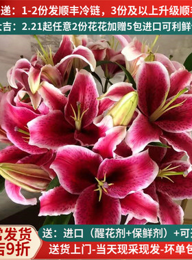 黑美人香水百合鲜花教师节云南基地直发直批昆明水养10支空运红色