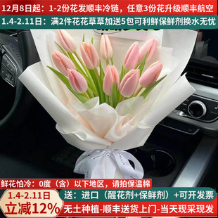 郁金香鲜花云南昆明斗南市场基地直发花直批水养水培花束家用插花