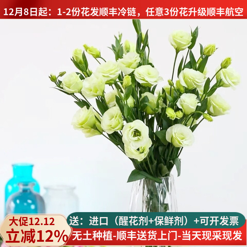 清新淡雅洋桔梗，西洋玫瑰花