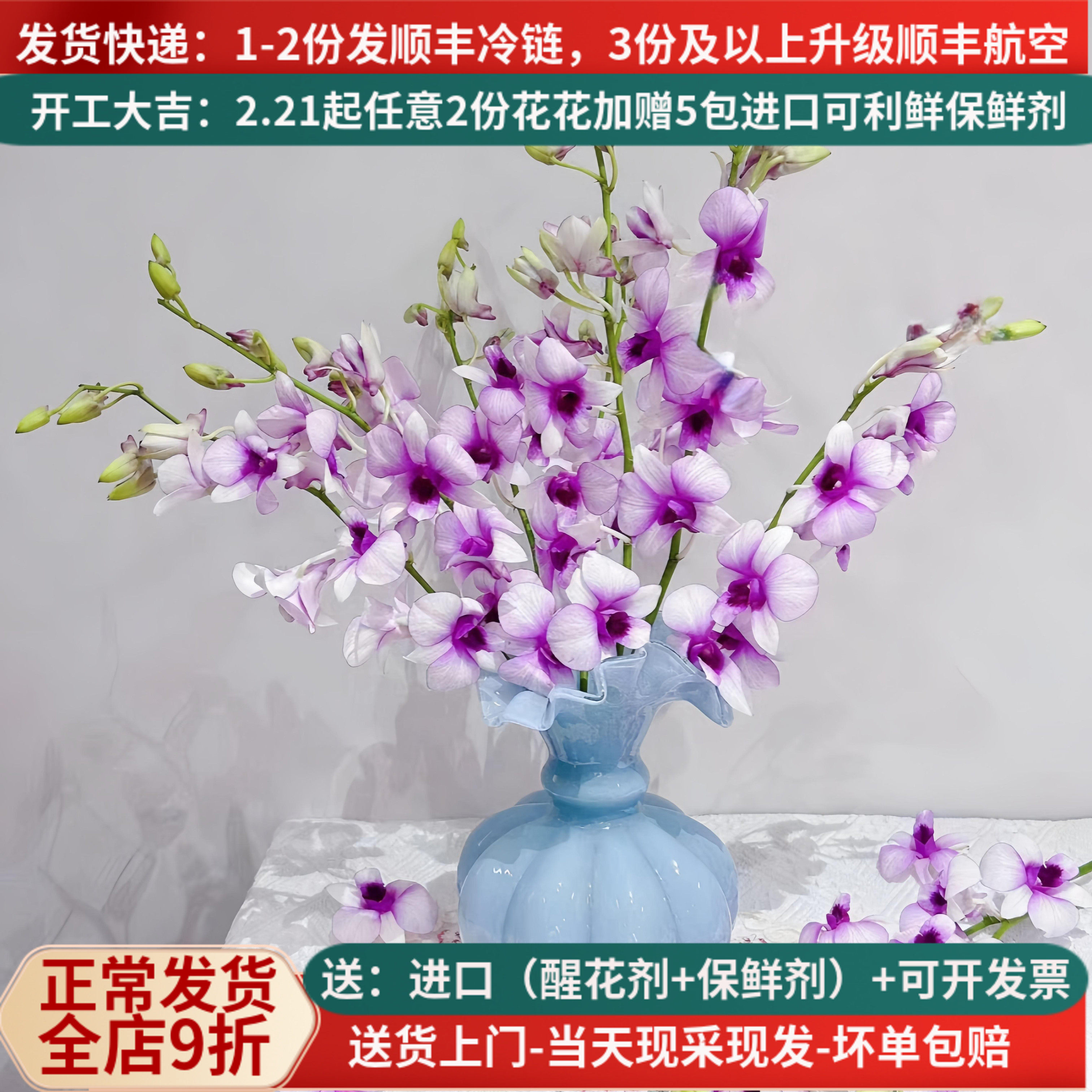 稀有鲜花进口洋兰云南昆明斗南市场鲜花基地直发家用插花束水培