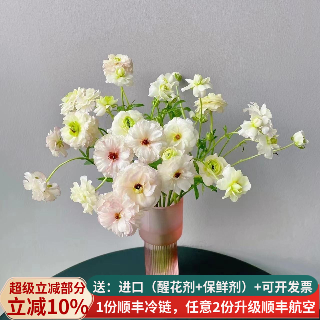 鲜切花珠光蝴蝶洋牡丹基地洋牡丹