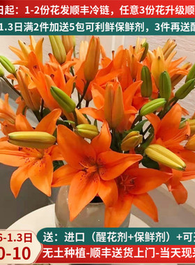 鲜切花橙色亚百合花云南基地直发斗南市场家用水养插花束顺丰