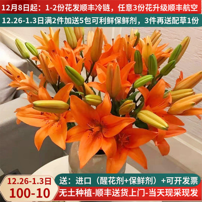鲜花百合橙色母亲节云南基地直发