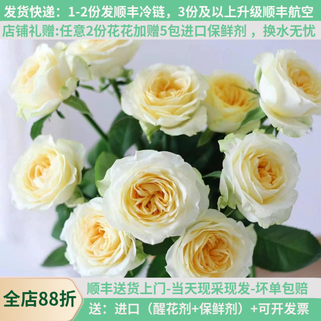 C级稀有玫瑰鲜花集合，多品种