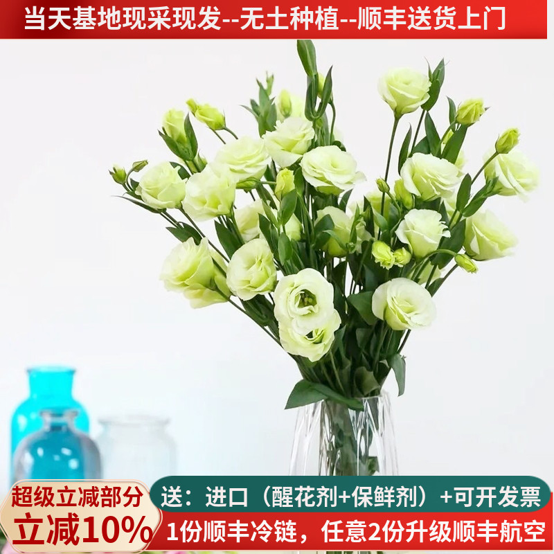 清新淡雅洋桔梗，西洋玫瑰花