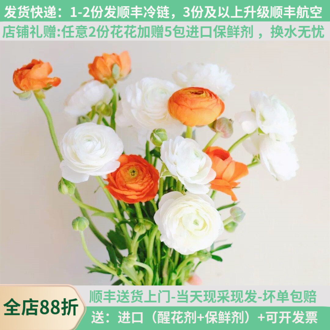 时令鲜花蝴蝶洋牡丹基地直发顺丰