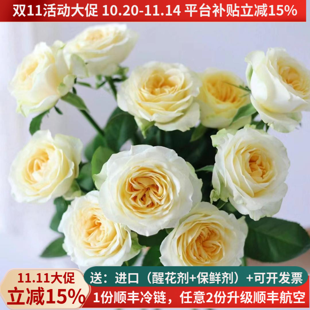 C级稀有玫瑰鲜花集合,多品种