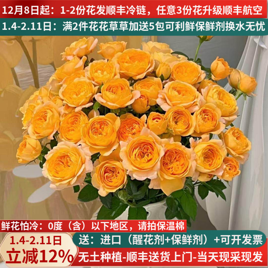 多头玫瑰橙色芭比巧克力鲜花云南直批家用花束基地直供泡泡蔷薇,鲜花速递/花卉仿真/绿植园艺,花材,淘宝优惠券,粉丝福利购,淘宝优惠卷