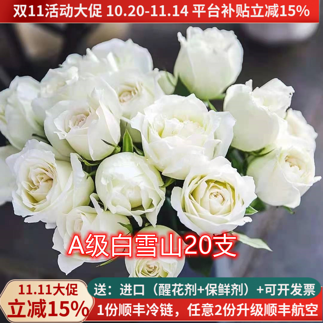A级白雪山白玫瑰,当天采摘发货