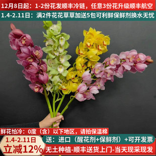 大花蕙兰鲜切花云南鲜花基地直发昆明斗南市场家用水培年宵花插花