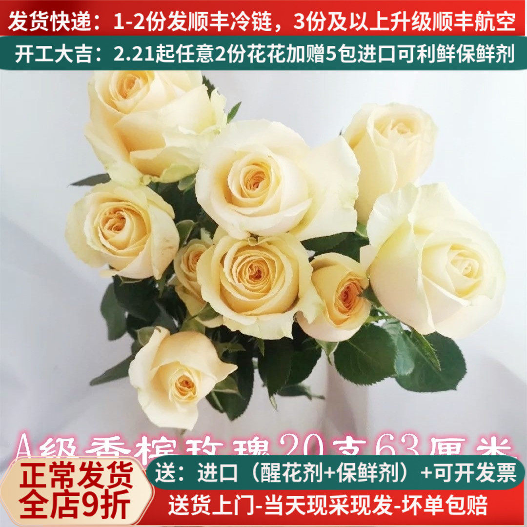 A级香槟玫瑰鲜花蜜桃雪山云南基地直批昆明斗南直发家用水养20支