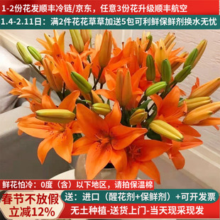 鲜切花橙色亚百合花云南基地直发斗南市场家用水养插花束顺丰