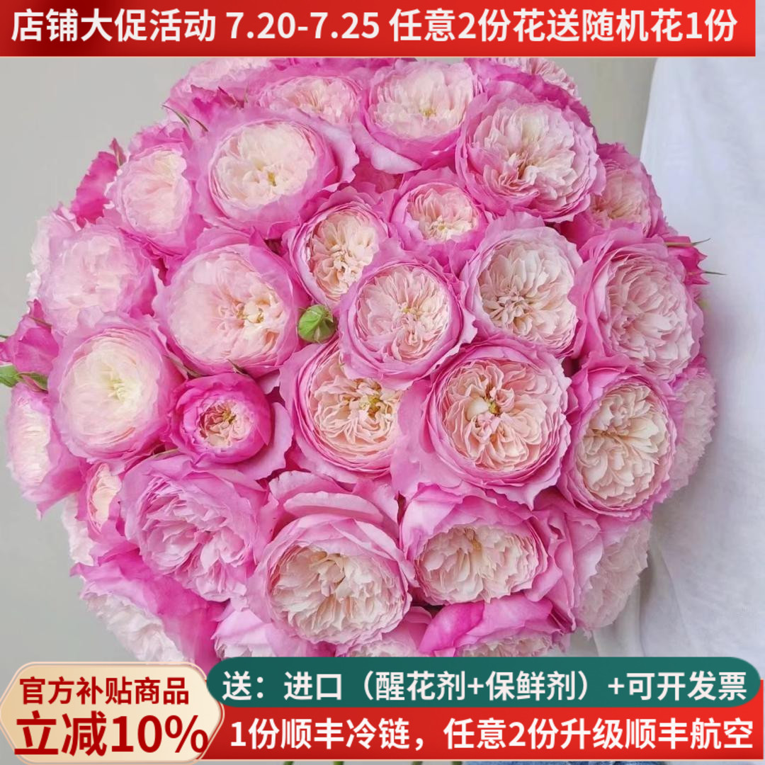 稀有无土种植多品种可选多头玫瑰