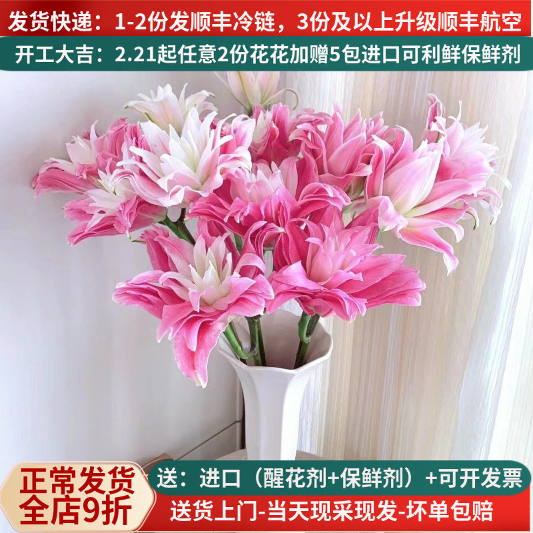 鲜花重瓣香水百合红丝带粉黛戴安娜昆明斗南基地直发家用水培插花