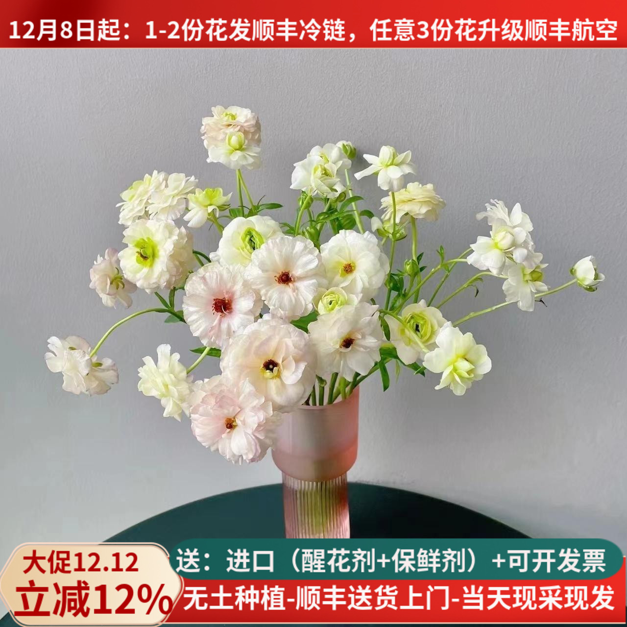 鲜切花珠光蝴蝶洋牡丹基地洋牡丹