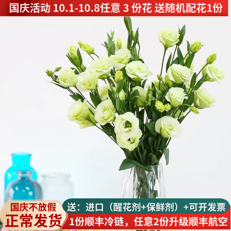 清新淡雅洋桔梗，西洋玫瑰花