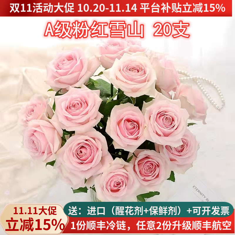 级粉红雪山玫瑰鲜切花云南昆明