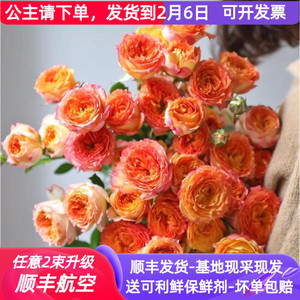 多头玫瑰浪漫爱人巧克力鲜花云南直批家用花束基地直供泡泡蔷薇