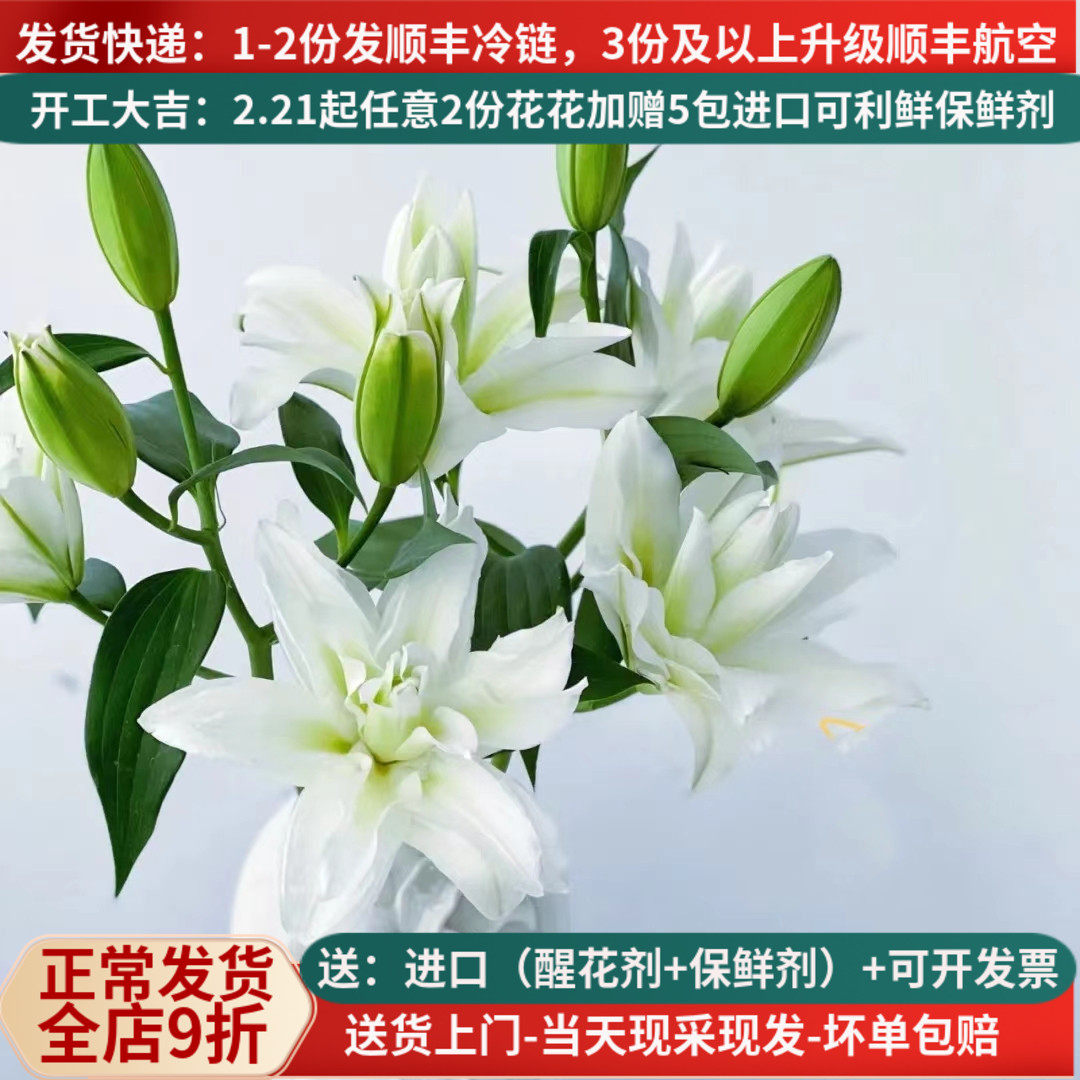 浪漫之星重瓣白色百合鲜花云南昆明基地市场直批真花插花水养顺丰