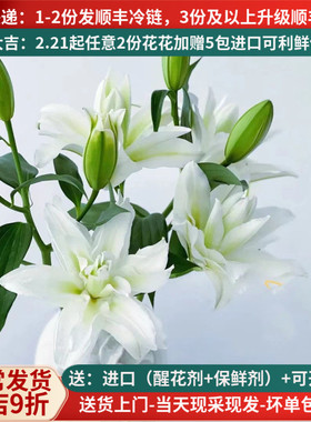 浪漫之星重瓣白色百合鲜花云南昆明基地市场直批真花插花水养顺丰