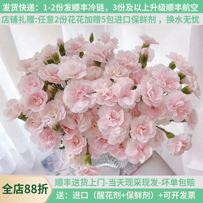 女神节稀有康多色基地直发顺丰