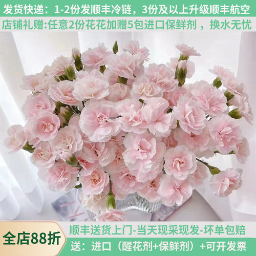 女神节稀有康多色基地直发顺丰